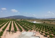 New Build - Finca - Pinoso