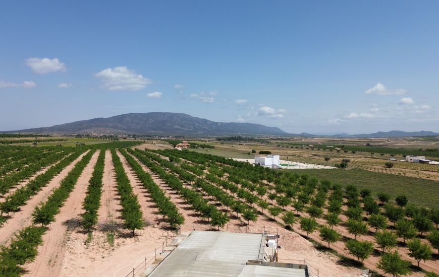New Build - Finca - Pinoso