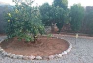 Venta - Villa - Corbera