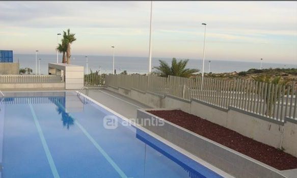 Sale - Apartments - 