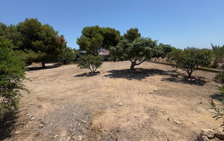 Sale - Finca - Torrellano