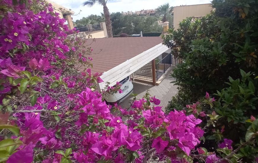 Sale - Villa - Algorfa