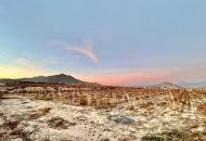 Sale - Land - Novelda