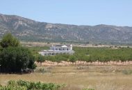 Nueva construcción  - Villa - Pinoso