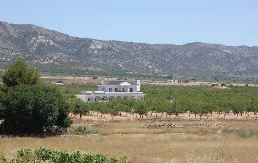 Nueva construcción  - Villa - Pinoso