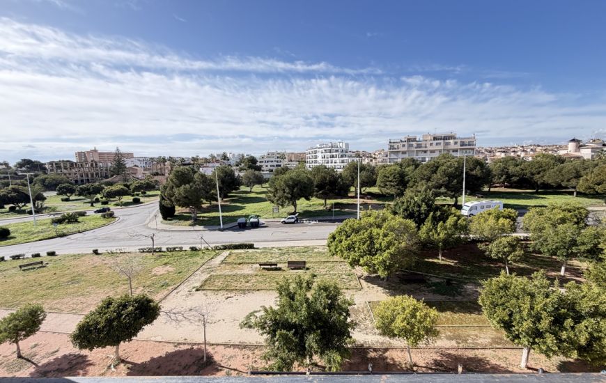 Sale - Apartments - La Zenia
