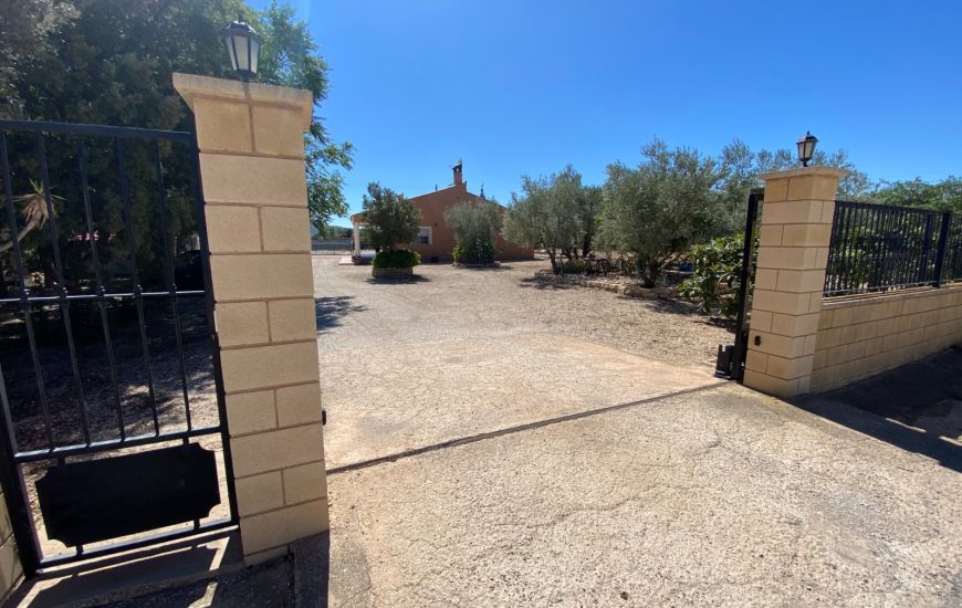 Sale - Finca - Salinas