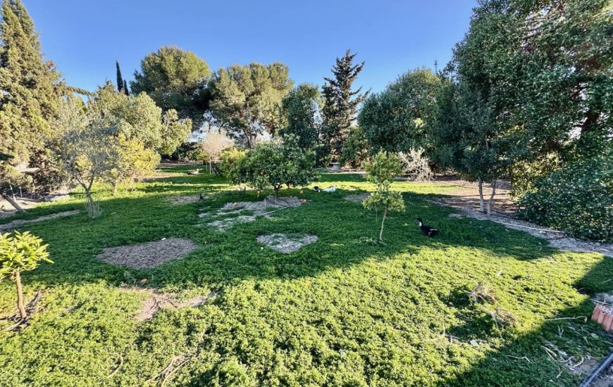Sale - Country Property - Guardamar del Segura