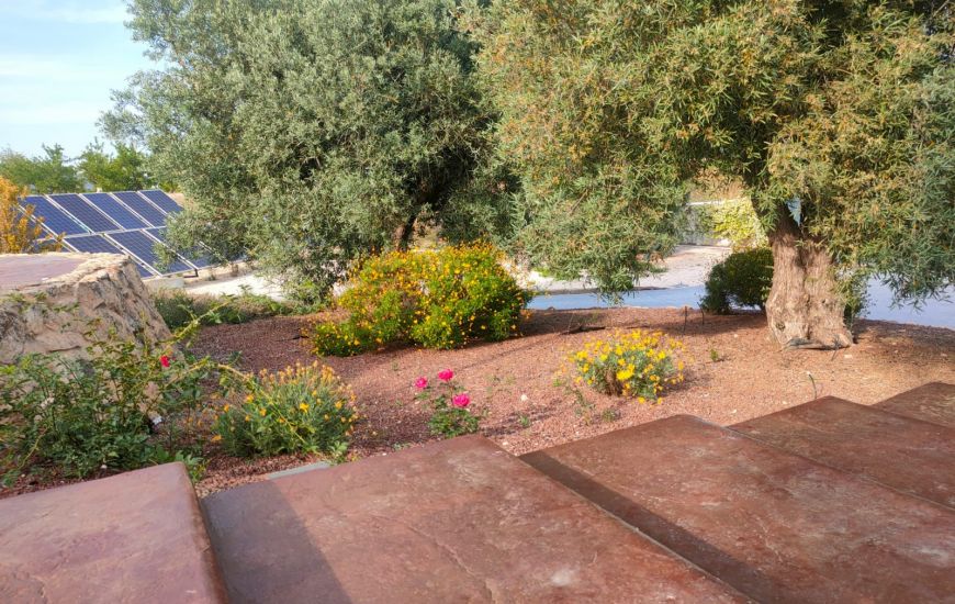 Venta - Casa Rural - Pinoso