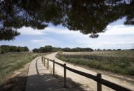 Nueva construcción  - Bungalow - Torrevieja