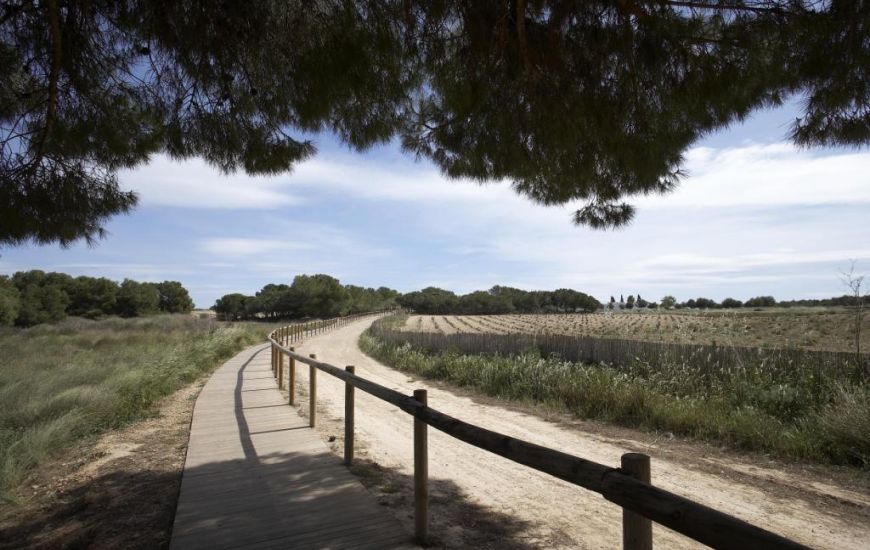 Nueva construcción  - Bungalow - Torrevieja