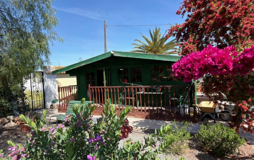 Sale - Finca - Catral