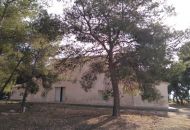 Sale - Finca - Aspe