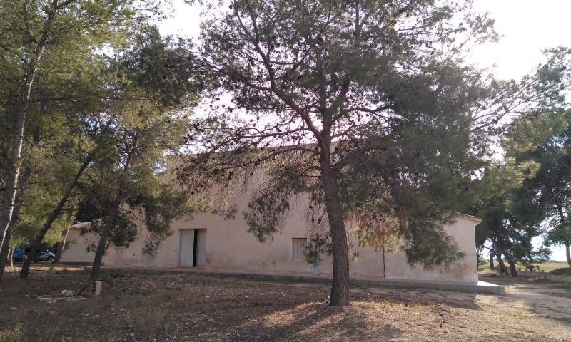 Sale - Finca - Aspe