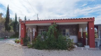 Finca - Sale - Aspe - Aspe