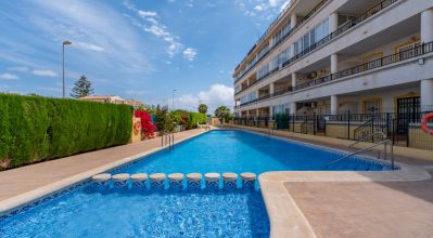 Apartamentos - Venta - Playa Flamenca - Playa Flamenca