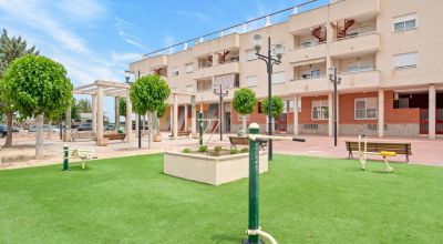 Apartments - Sale - Bigastro - Bigastro