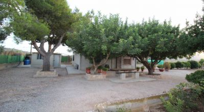 Casa Rural - Venta - Hondón de las Nieves - Hondón de las Nieves