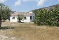 Sale - Villa - 