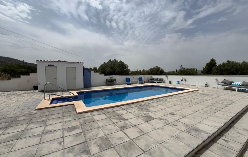 Sale - Finca - Sax