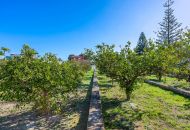 Sale -  - Los Montesinos - 