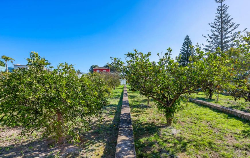 Sale -  - Los Montesinos - 