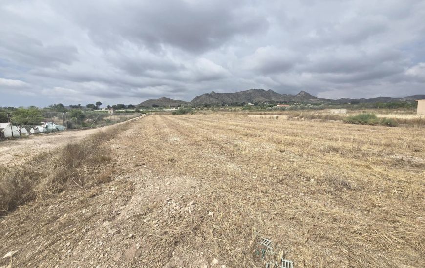 Sale - Land - Aspe