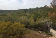 Venta - Terreno - Algorfa