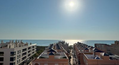 Apartments - Sale - La Mata - La Mata