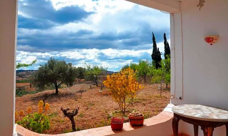 Sale - Villa - 