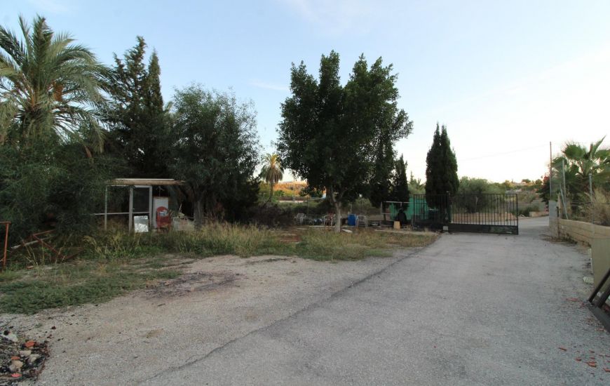 Sale - Finca - Elche