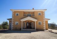 Sale - Finca - Pinoso