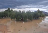 Venta - Villa - Aspe