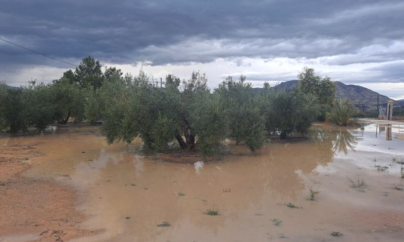 Venta - Villa - Aspe