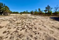 Sale -  - Los Montesinos - 