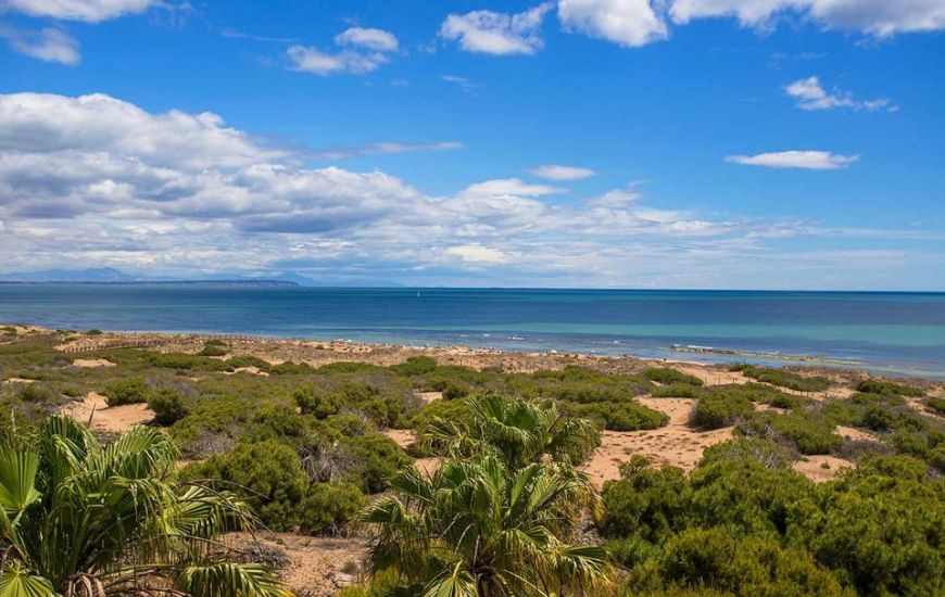 Sale - Apartments - Torrevieja