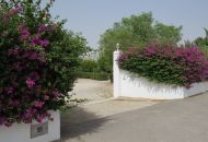 Venta - Casa Rural - Dolores