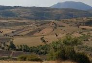 Sale - Villa - Albalat Dels Tarongers