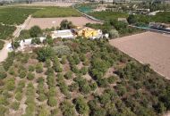 Sale - Finca - Orihuela