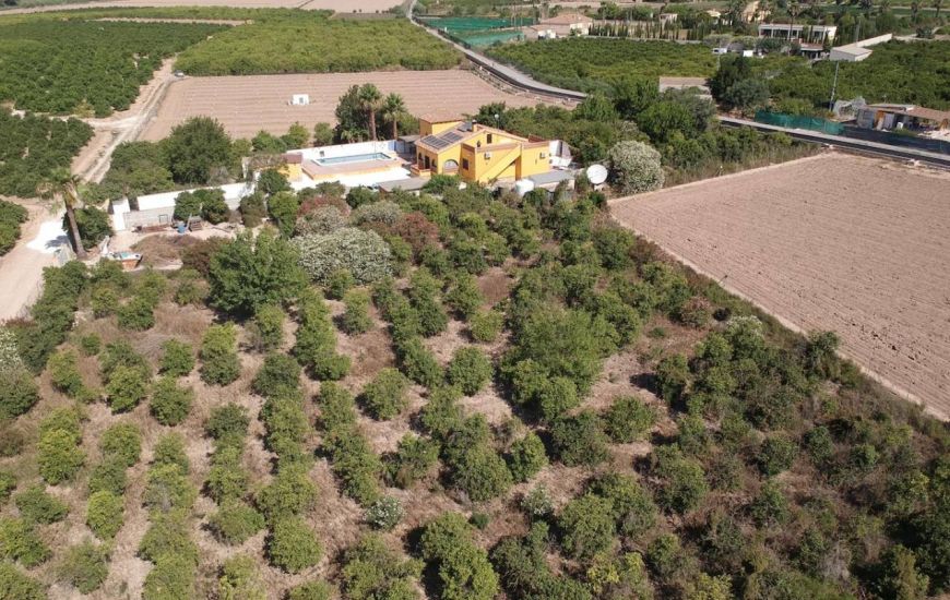 Sale - Finca - Orihuela