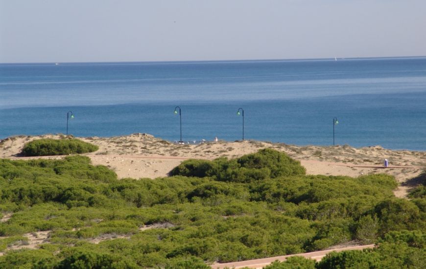 New Build - Semi - Detached Villa - La Marina