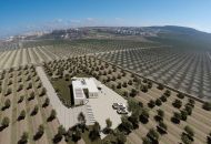 New Build - Villa - Algorfa - 