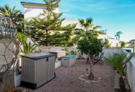 Sale -  - San Miguel de Salinas - 