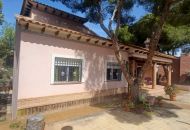 Sale - Villa - San Miguel de Salinas - San Miguel De Salinas