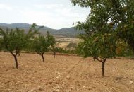 Sale - Land - Hondón de las Nieves