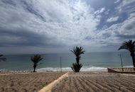 Sale - Apartments - Mil Palmerales - Mil Palmeras