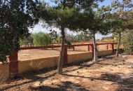 Sale -  - Los Montesinos - 