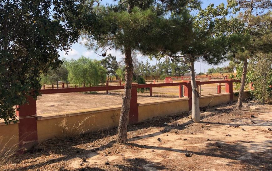 Sale -  - Los Montesinos - 