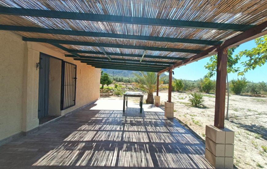 Sale - Finca - Abanilla
