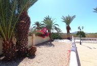 Sale - Finca - Catral